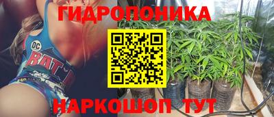 крисы Волжский