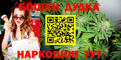 гидра Гай